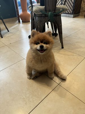   at The Vegan Shack in Panama City