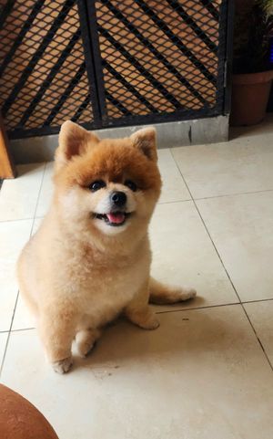  at The Vegan Shack in Panama City