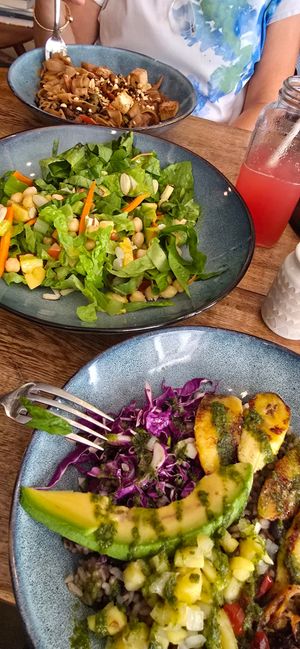 Two of bowls options and a salad at The Vegan Shack in Panama City