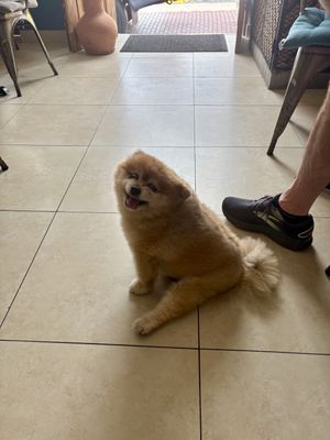   at The Vegan Shack in Panama City