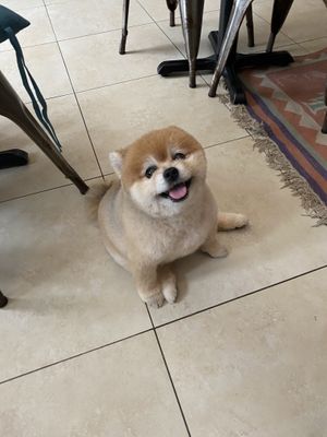   at The Vegan Shack in Panama City