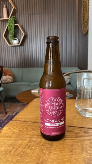   at The Vegan Shack in Panama City