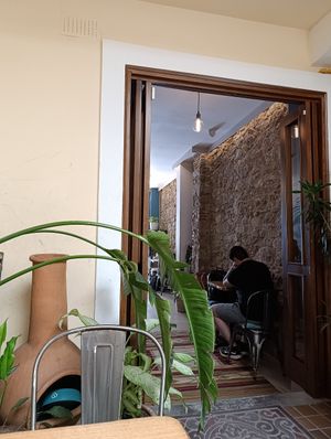  at The Vegan Shack in Panama City