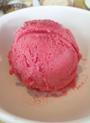 sorbet.. only vegan option for sweets at Bangkok Trading Post Bistro & Bar in Bangkok