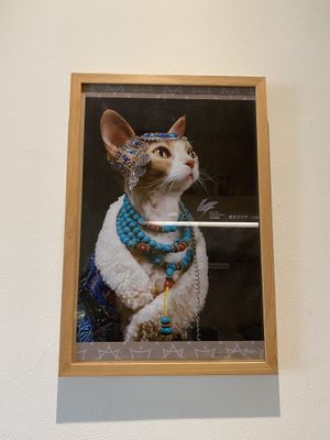   at Hejo Eatery in Bandung