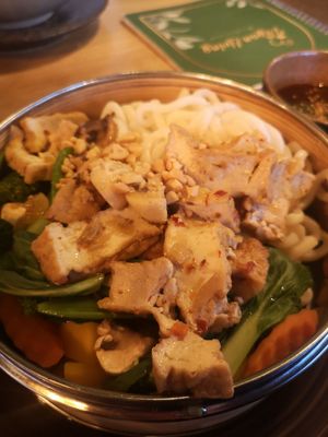  at Vegan Living in Magdeburg