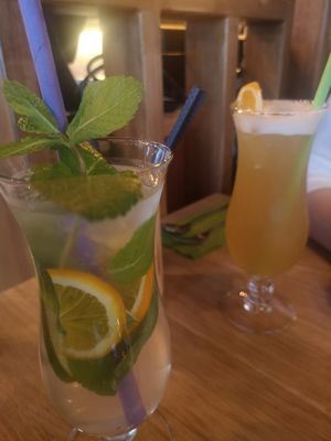  at Vegan Living in Magdeburg