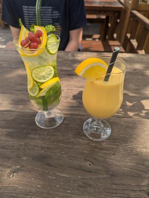  at Vegan Living in Magdeburg