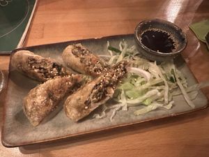 V1. CHA GIO  at Vegan Living in Magdeburg