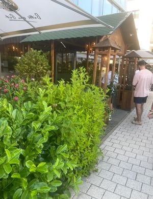   at Vegan Living in Magdeburg