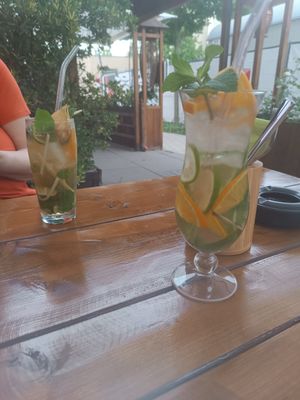  at Vegan Living in Magdeburg