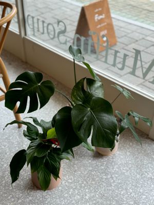  at Ffumz - 퓸즈 in Seoul