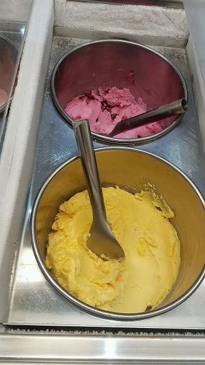 fruit flavors except for banana are vegan at Casa del Gelato in Carlton