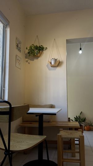   at Café Felipa in Hermosillo