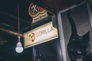   at Gorilla Bar in Munich