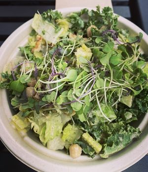   at AVO Cafe in Carlsbad