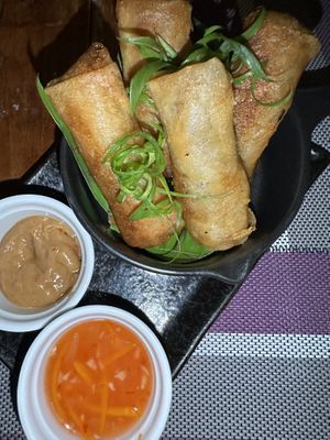 Spring rolls   at Aroi Makmak Thai Station in San Juan Siquijor
