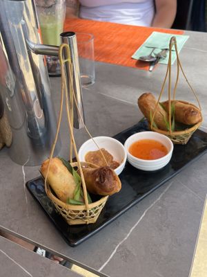 Veggie spring rolls  at Aroi Makmak Thai Station in San Juan Siquijor