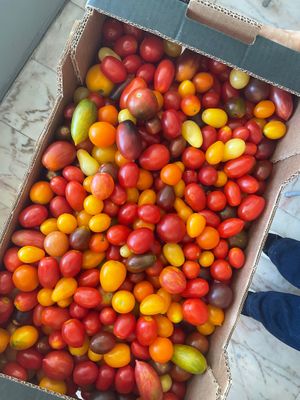 Mixed Cherry Tomato (Organic when available) at Massa Mãe in Lisbon