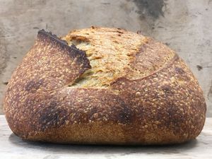 Trigo Tradicional com Barbela at Massa Mãe in Lisbon