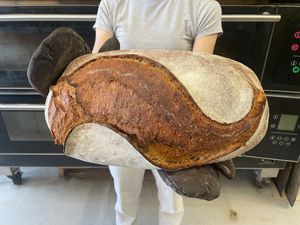 Magnum Classic Sourdough, almost 2 kgs at Massa Mãe in Lisbon