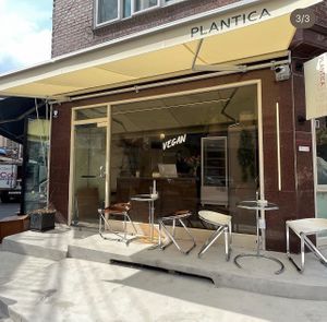 new storefront   at Plantica - 플랜티카 in Seoul