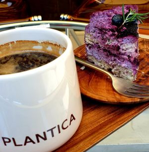  at Plantica - 플랜티카 in Seoul
