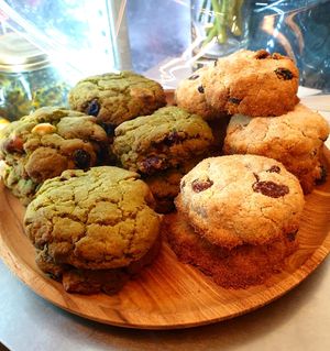  at Plantica - 플랜티카 in Seoul