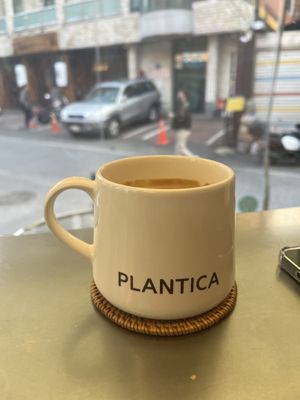  at Plantica - 플랜티카 in Seoul