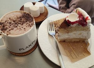  at Plantica - 플랜티카 in Seoul