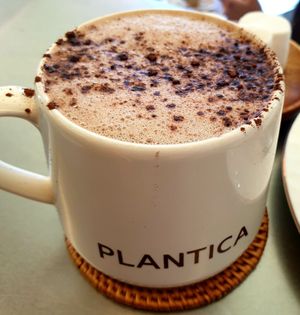  at Plantica - 플랜티카 in Seoul