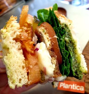  at Plantica - 플랜티카 in Seoul