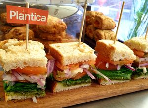  at Plantica - 플랜티카 in Seoul