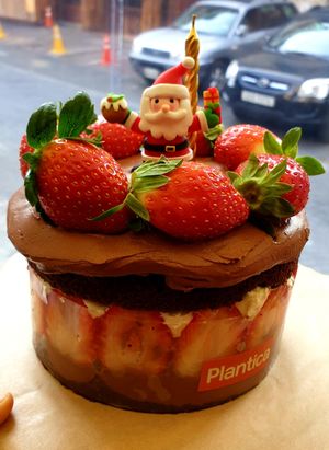 hohoho at Plantica - 플랜티카 in Seoul