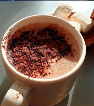  at Plantica - 플랜티카 in Seoul