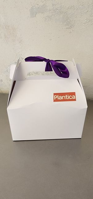 #Veganuary at Plantica - 플랜티카 in Seoul