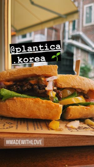   at Plantica - 플랜티카 in Seoul