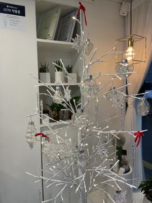   at Sweets by Ve - 비건 제과 스윗바이비 in Seoul