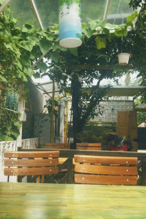  at Loving Hut Diệp Lâm Vegan in Ho Chi Minh City