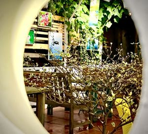 point of view from tiny spot  at Loving Hut Diệp Lâm Vegan in Ho Chi Minh City