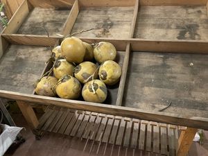 Coconuts on sale   at Loving Hut Diệp Lâm Vegan in Ho Chi Minh City