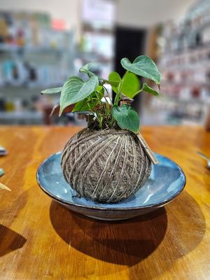  at Hub Court in Cairns