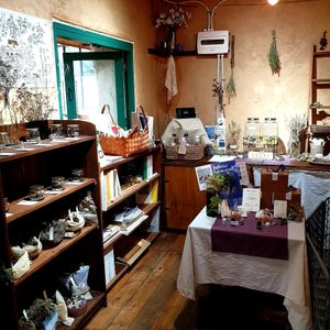  at Cafe SSSSL - 카페 쓸 in Seoul