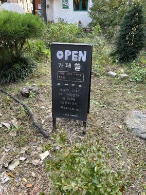   at Cafe SSSSL - 카페 쓸 in Seoul