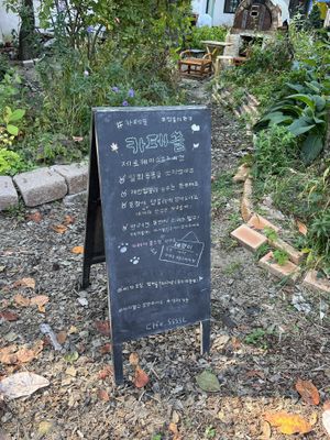   at Cafe SSSSL - 카페 쓸 in Seoul