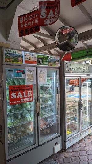 Organic vegetables at Organic 4 Less in West Singapore