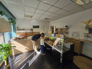 Shop at Délice Végétal in Nantes