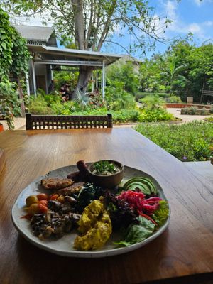 The view at Alchemy - Uluwatu in Ubud