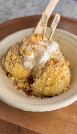   at Vegan Scoops in Kissimmee