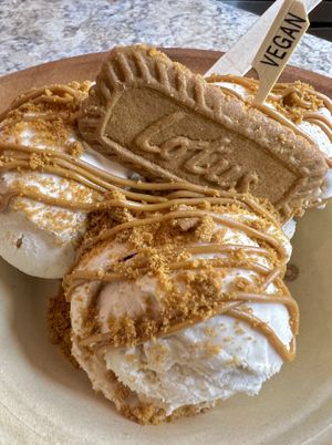   at Vegan Scoops in Kissimmee